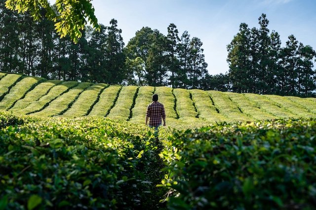 Notre equipe au travail